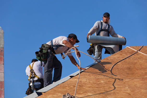 Best Storm Damage Roof Repair  in Branson, MO