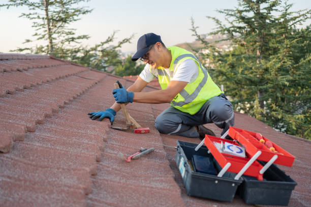 Best Storm Damage Roof Repair  in Branson, MO